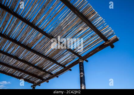 Ein Bambusstock Dach, San Jose del Cabo, B.S., Mexiko. Stockfoto