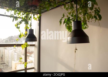 Lampen hängen an der Decke mit Pflanzen schmücken den Raum, in der Nähe eines Fensters während des Sonnenuntergangs Stockfoto