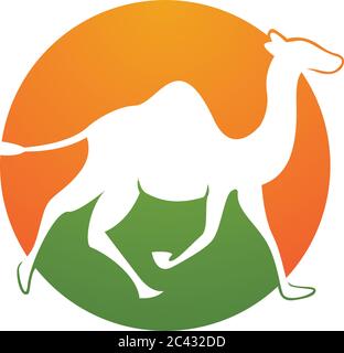 Camel Logo Vorlage Vektor Symbol Illustration Design Stock Vektor