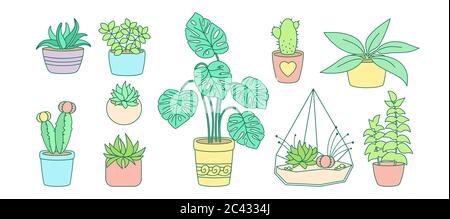 Pflanze und Sukkulenten, Keramik-Flachlinie Set. Farbe lineare Cartoon Haus Blume. Hauspflanzen, Kaktus, Monstera Blumentopf. Stilvolle Inneneinrichtung Kollektion. Isolierte Vektordarstellung Stock Vektor
