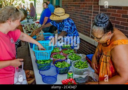 Eine Frau kauft eingelegte Süßkartoffeln von einem Verkäufer auf dem Clarksdale Farmers Market, 9. August 2016, in Clarksdale, Mississippi. Stockfoto
