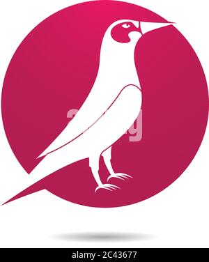 Hummingbird Logo Vorlage Vektor Symbol Illustration Design Stock Vektor