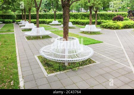 Gruppe von modernen Eisen kreisförmigen Bänken um Baum für die Ruhe im Stadtpark, Fujian, China installiert Stockfoto