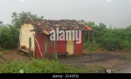 Kleine vernachlässigte Hütte aus Ziegel mit Dach aus alten Lehmziegeln in der Mitte von grünen Pflanzen an bewölkten Tag Stockfoto