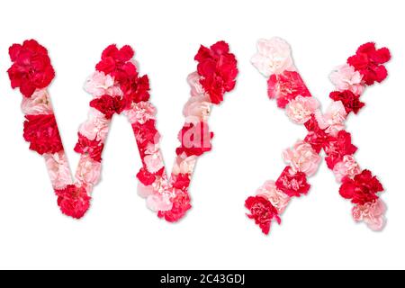 Blumentapete Alphabet W X Set (Kollektion A-Z), aus echten Nelkenblumen rosa, rote Farbe mit Papier geschnitten Form von Großbuchstaben. Flora Schrift Stockfoto