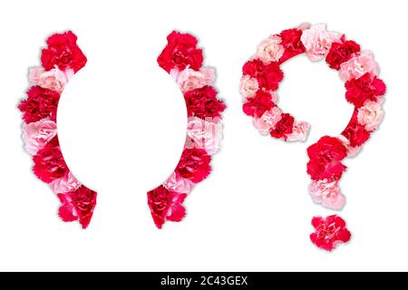 Blumensatzschrift für Symbol Klammer, Fragezeichen (Kollektion Alphabet A-Z Set), aus echten Nelkenblumen rosa, rote Farbe mit Papier geschnitten Form Stockfoto