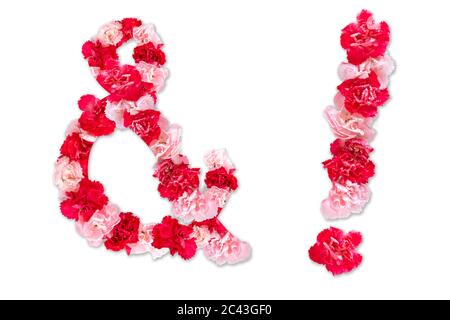 Blumensatzschrift für Symbol Ausrufezeichen, Ampersand(and) (Collection Alphabet A-Z Set), aus echten Nelkenblüten rosa, rote Farbe
