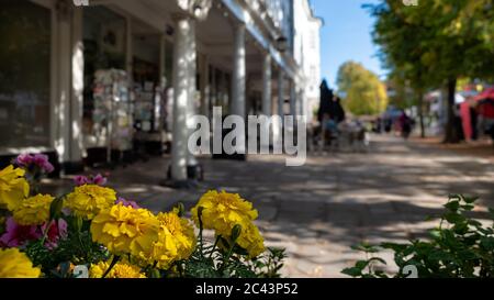 ROYAL TUNBRIDGE WELLS, KENT, Großbritannien - 15. SEPTEMBER 2019: Unauffälliger Blick auf die Pantillen über Sommerbettblumen Stockfoto