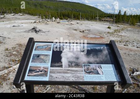 NORRIS JUNCTION, WYOMING - 7. JUNI 2017: Porkchop Geyser und Second Erupter im Back Basin des Norris Geyser Basin im Yellowstone National Park Stockfoto