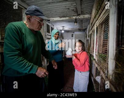 Betreuung von Kaninchen auf kleinem Bauernhof Stockfoto