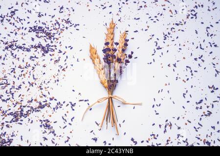 Lavendelblüten und Weizensamen in einem schönen Bio-Bouquet isoliert auf weißem Hintergrund. Stockfoto
