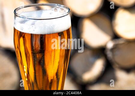 Ein volles Glas frisches Bier. Bierglas und Holz. Ein GLAS MIT LEICHTEM BIER AUF DEM HINTERGRUND VON Holz in der Landschaft des Landes. Bierglas und Stockfoto