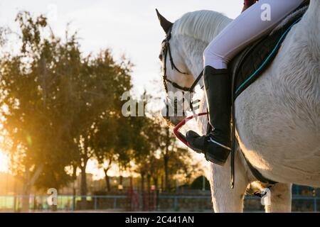 Unterer Teil eines Teenagers, das während des Sonnenuntergangs auf der Ranch auf einem weißen Pferd reitet Stockfoto