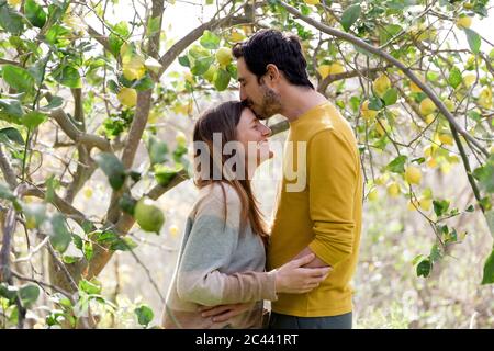 Liebevoller Mann küsst auf der Stirn der Freundin, während sie bei einem Zitronenbaum auf dem Bauernhof steht Stockfoto