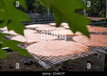 Traditionelle Nudelproduktion zu Hause, Ho Chi Minh, Vietnam Stockfoto