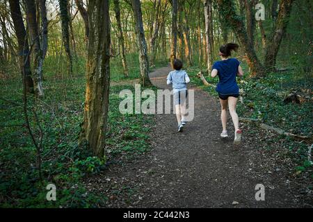 Volle Länge Rückansicht der Geschwister Joggen inmitten von Bäumen im Wald Stockfoto