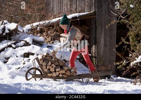 Frau stapelt Brennholz auf einer Schubkarre im Schnee Stockfoto