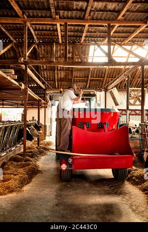 Männlicher Bauer auf landwirtschaftlichen Fahrzeug in Milchviehbetrieb stehen Stockfoto