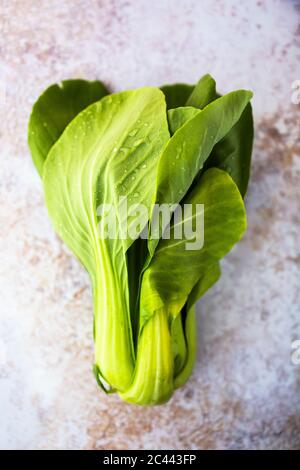 Studio Schuss von frischem Bok Choy Kohl Stockfoto