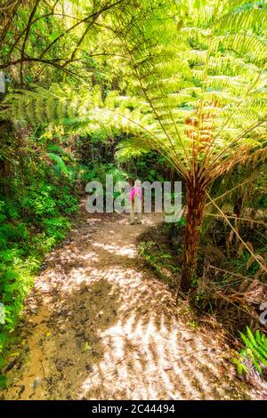 Ansicht der Rückseite des reife Frau wandern im Abel Tasman Coastal Track, Südinsel, Neuseeland Stockfoto