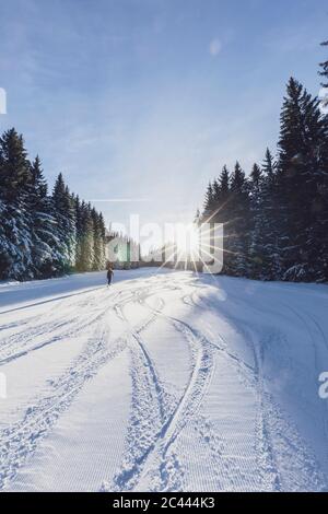 Deutschland, Bayern, Reit im Winkl, Backpacker-Frauen beim Skifahren im Winterwald bei Sonnenaufgang Stockfoto