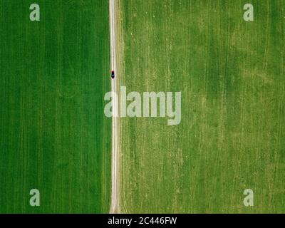 Russland, Moskau Oblast, Luftbild des Autos fahren entlang Landschaft Feldweg zwischen grünen Feldern Stockfoto