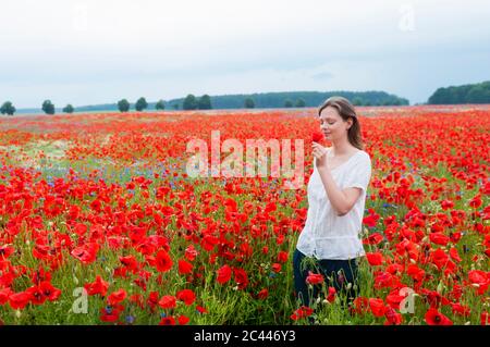 Schöne Frau riecht Mohnblume, während sie inmitten des rot blühenden Feldes gegen den Himmel geht Stockfoto