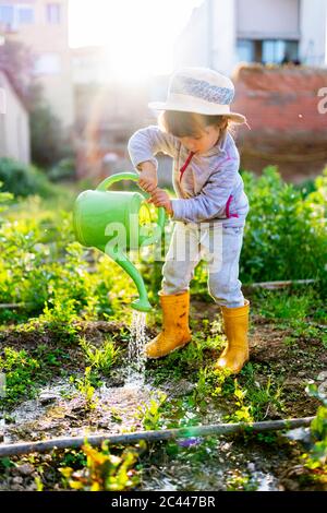 Volle Länge der niedlichen Vorschule Mädchen Bewässerung Pflanzen im Obstgarten Stockfoto