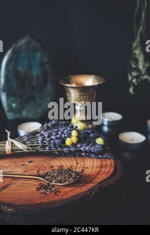 Nahaufnahme der Kümmel-Samen (sieht aus wie Kreuzkümmel, Fenchel oder Anis-Samen), in einem goldmessingfarbenen Teelöffel, verteilt auf Frieden von Holz aus Baumstamm Stockfoto