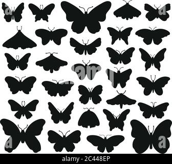 Schmetterlinge Silhouetten. Handgezeichneter Schmetterling, Zeichnung Insektengrafik. Schwarz Zeichnung Schmetterlinge Silhouetten isoliert Vektor Illustration set Stock Vektor