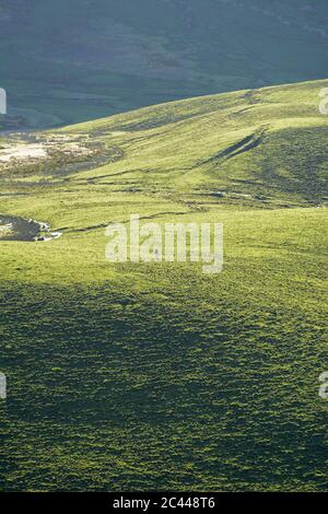 Luftaufnahme der Frau auf grüne Landschaft während sonnigen Tages, Corvo, Azoren, Portugal Stockfoto