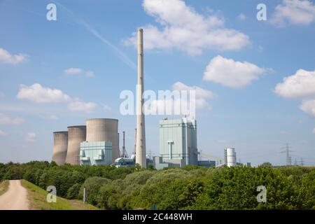 Deutschland, Nordrhein-Westfalen, Werne, Bäume vor dem Kraftwerk Gersteinwerk Stockfoto