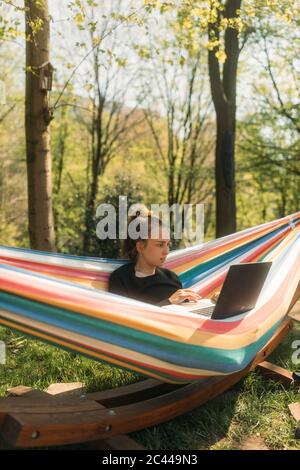 Junge Frau, die auf Laptop studiert, während sie in der Hängematte auf dem Hof sitzt Stockfoto