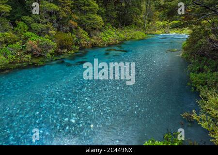 Neuseeland, Southland, Te Anau, Hollyford River fließt durch üppigen Wald Stockfoto