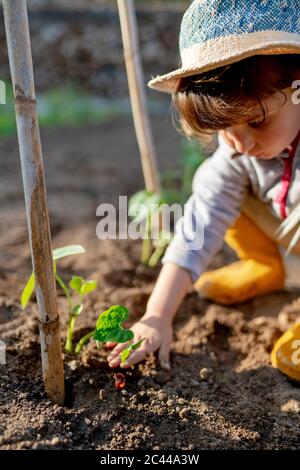 Nettes Mädchen hocken beim Pflanzen auf Obstgarten Stockfoto