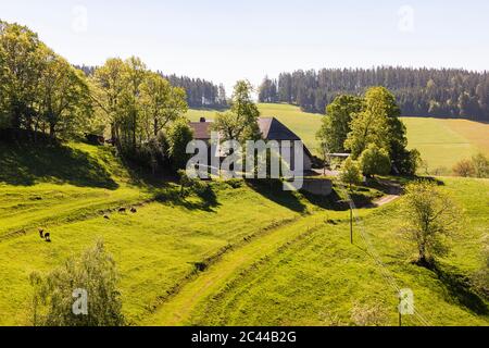 Deutschland, Baden-Württemberg, Sankt Peter, Bauernhaus im Schwarzwald im Frühling Stockfoto