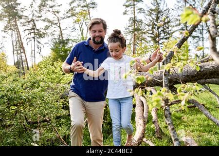 Lächelnder Mann, der die Hände der Tochter hält, die auf einem umgestürzten Baum im Wald herumläuft Stockfoto