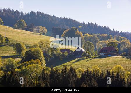 Deutschland, Baden-Württemberg, Sankt Peter, Landhäuser im Schwarzwaldgebiet Stockfoto