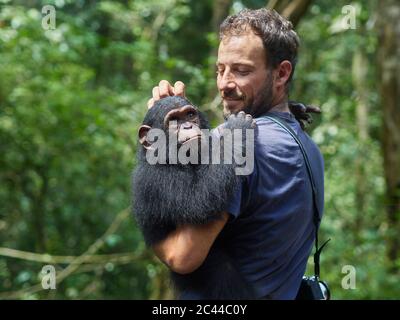 Kamerun, Pongo-Songo, Mann, der Schimpansen (Pan troglodytes) im Wald trägt Stockfoto