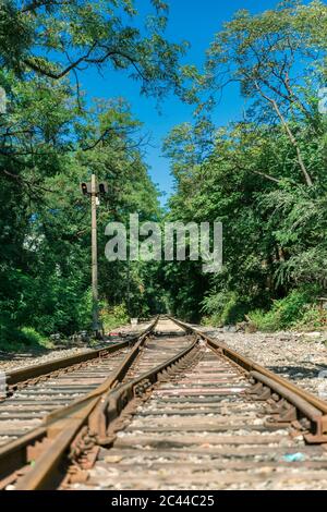 Im Freien grüner Wald und erweiterte Bahnstrecke Stockfoto