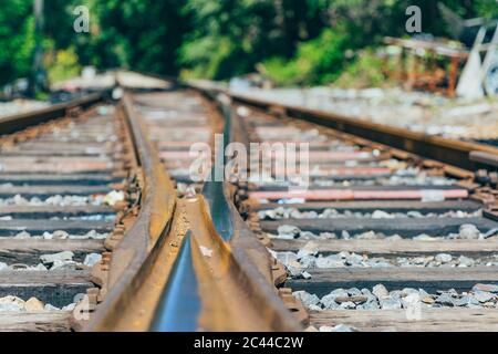 Im Freien grüner Wald und erweiterte Bahnstrecke Stockfoto