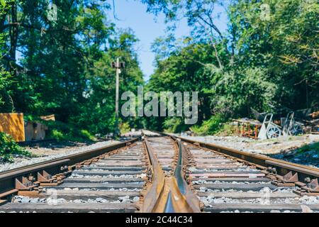 Im Freien grüner Wald und erweiterte Bahnstrecke Stockfoto