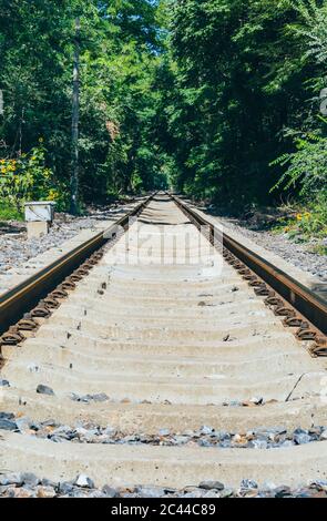 Im Freien grüner Wald und erweiterte Bahnstrecke Stockfoto