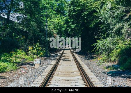 Im Freien grüner Wald und erweiterte Bahnstrecke Stockfoto