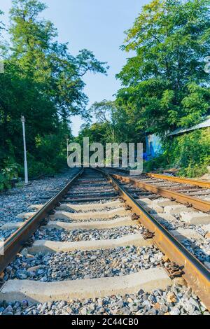 Im Freien grüner Wald und erweiterte Bahnstrecke Stockfoto