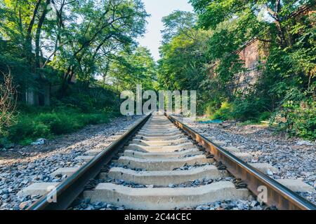 Im Freien grüner Wald und erweiterte Bahnstrecke Stockfoto