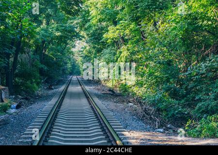 Im Freien grüner Wald und erweiterte Bahnstrecke Stockfoto