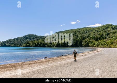 Neuseeland, Nordinsel, Männliche backpacker Wandern entlang der sandigen Küste Strand von See Rotopounamu Stockfoto