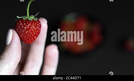 Gewaschen, süß, leckere Erdbeeren in einem Sieb nur aus dem Garten. Stockfoto