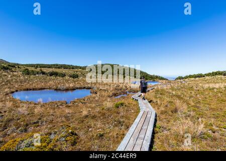 Neuseeland, Nordinsel, männliche Wanderer entlang Waitonga fällt Track boardwalk Stockfoto